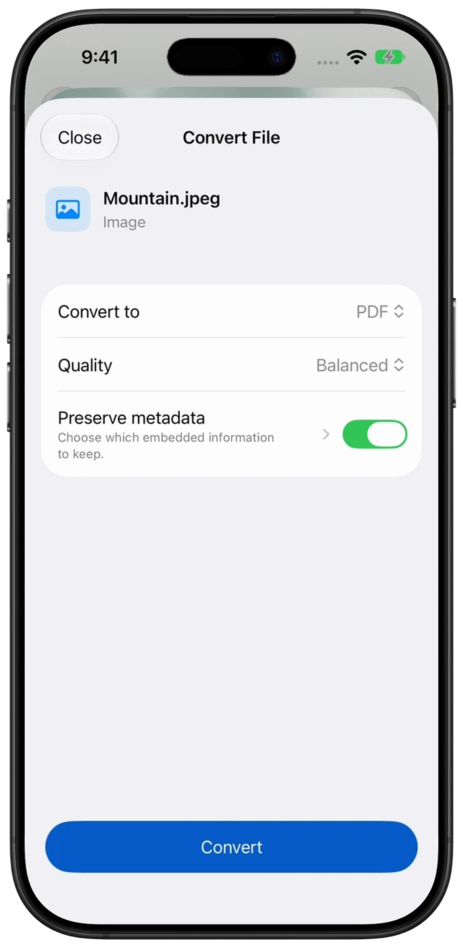 The real Convert File action opened from Photos, with PDF selected.